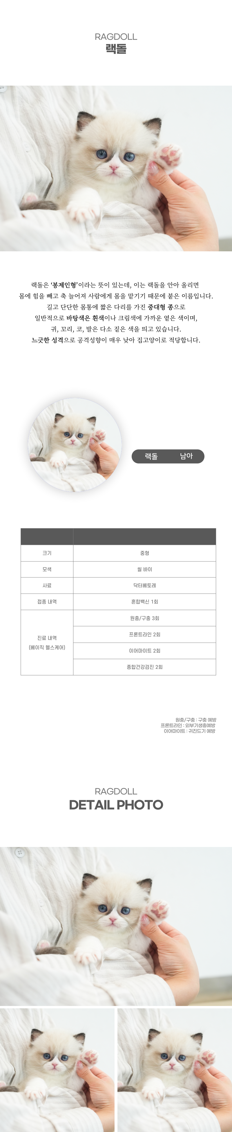 랙돌_상세이미지_2